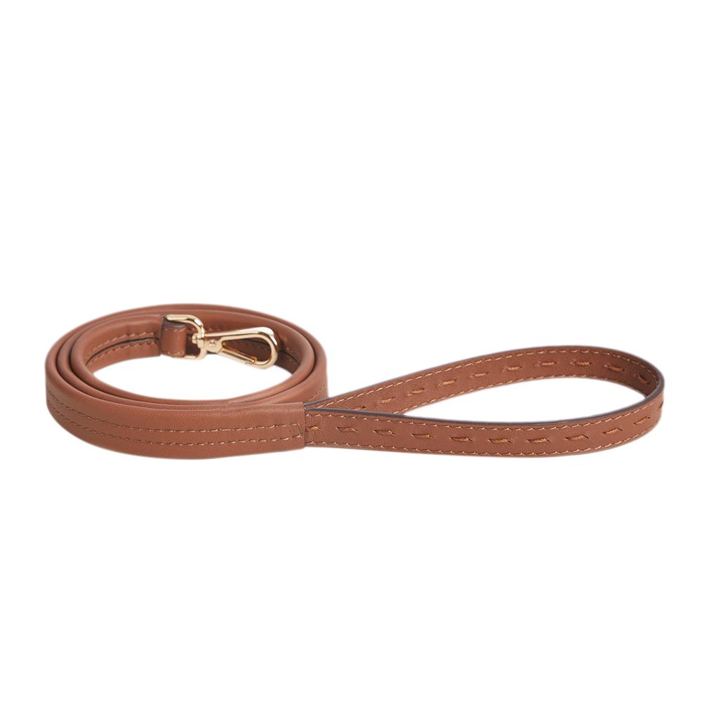 Tan leather dog clearance lead