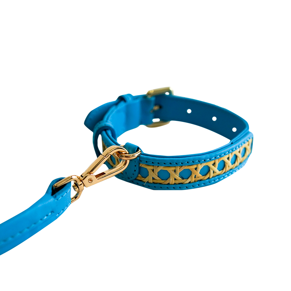 Baby blue dog collar best sale