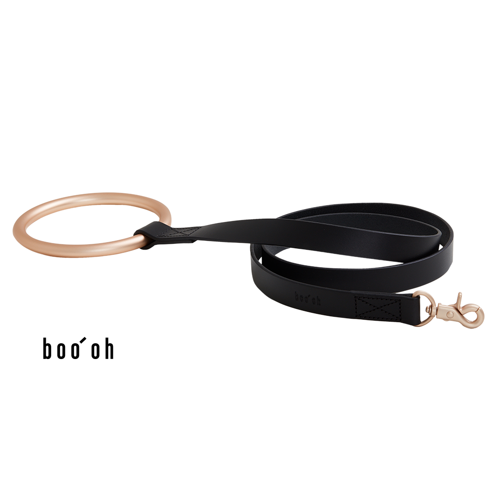 Lumi Leash