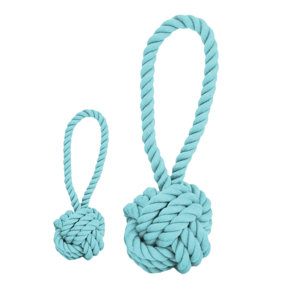 Rope Tug Toy, Aqua